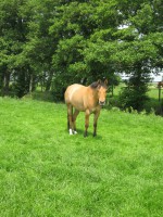 /album/fotos/surpricegroot-1-jpg/